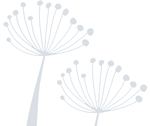 dandelite-slider-overlay